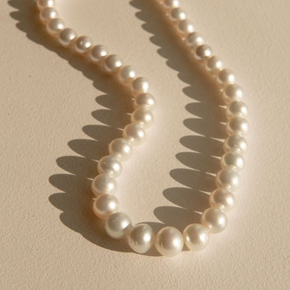 A strand of white Australian South Sea pearls arranged in a loop on a textured beige surface, casting soft shadows.