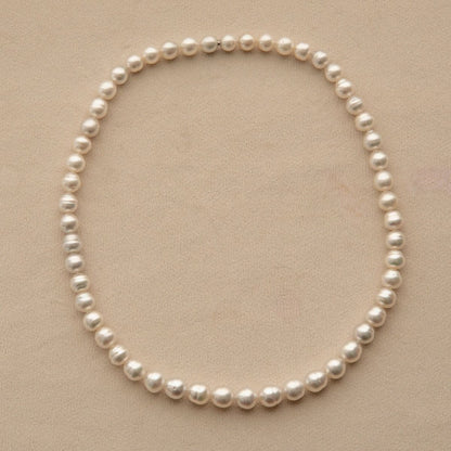 A classic Australian South Sea pearl strand necklace arranged in a neat circle on a textured beige background.