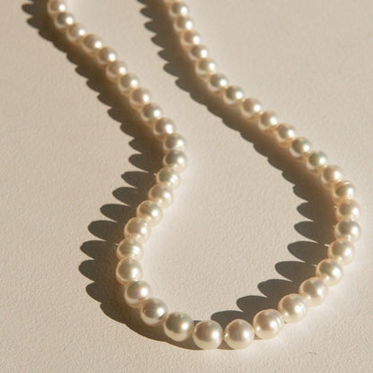 A strand of circle shaped Australian South Sea pearls arranged in a loose loop on a warm beige textured surface, casting soft shadows.