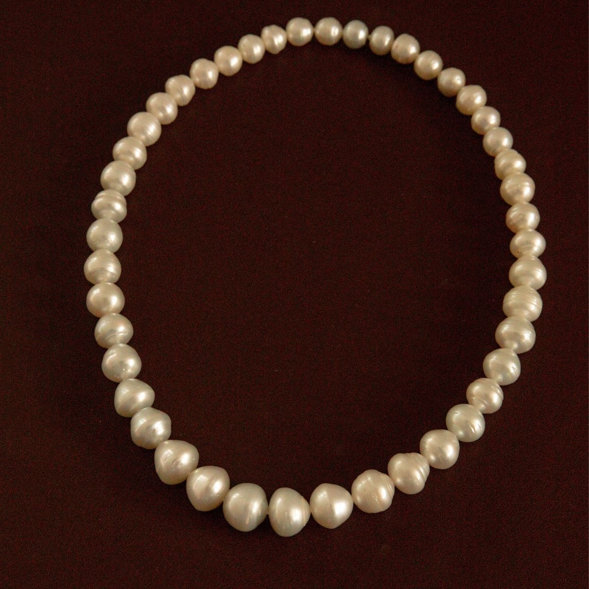 A strand of Australian South Sea circle pearls arranged in a circle on a dark reddish-brown background.