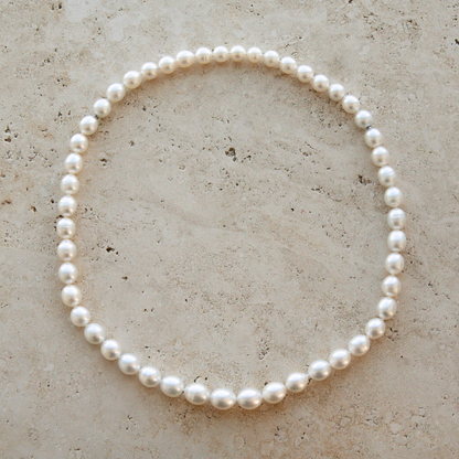 A classic strand of white Australian South Sea pearls arranged in a neat circle on a textured beige stone surface.