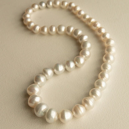 A strand of Australian South Sea circle pearls arranged in a loose loop on a textured beige background.
