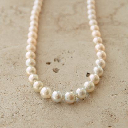 Strand Necklace Australian Akoya Broken Bay Gradient 6.5mm - 8.5mm AA 57pc 9ct Yellow Gold 45cm