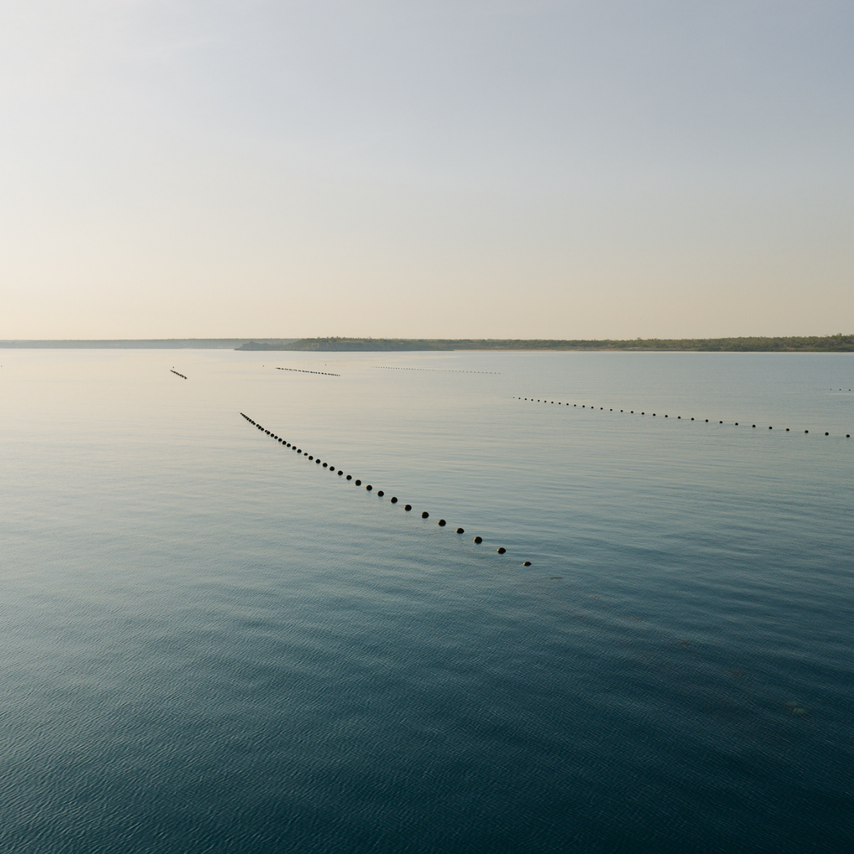 Pearl long lines floating on a calm body of water at our Cygnet Bay Pearl Farm with a clear sky.