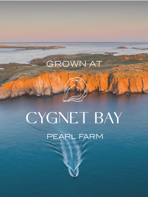 South Sea Pearls From our Cygnet Bay Pearl Farm